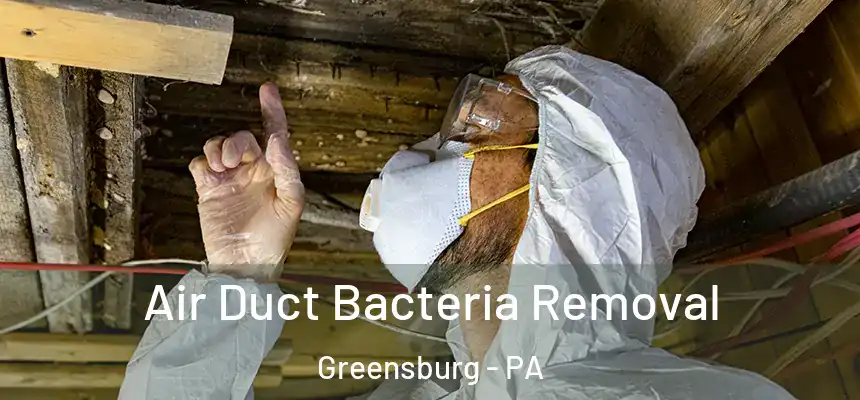  Air Duct Bacteria Removal Greensburg - PA