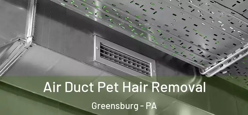  Air Duct Pet Hair Removal Greensburg - PA