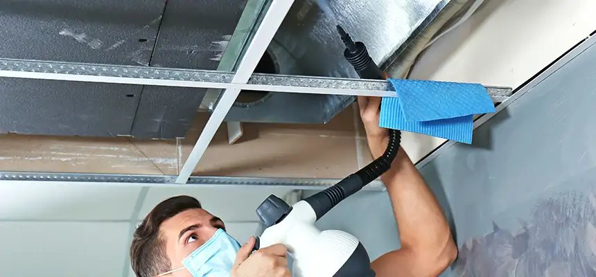 Our Air Duct Rodent Removal Services in Greensburg, PA