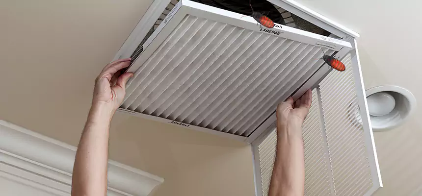 Our Insect Removal from Air Ducts Services in Greensburg, PA