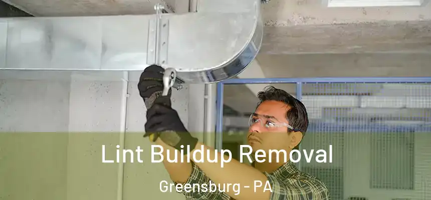  Lint Buildup Removal Greensburg - PA