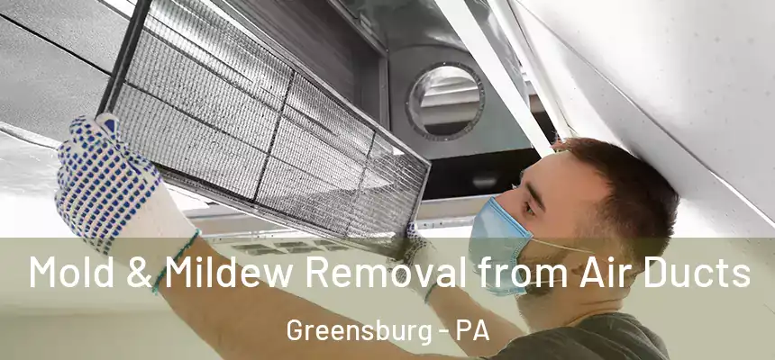  Mold & Mildew Removal from Air Ducts Greensburg - PA