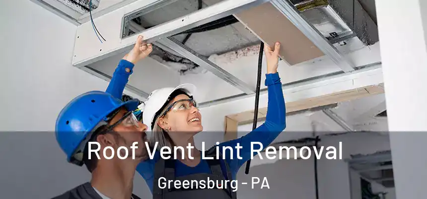  Roof Vent Lint Removal Greensburg - PA