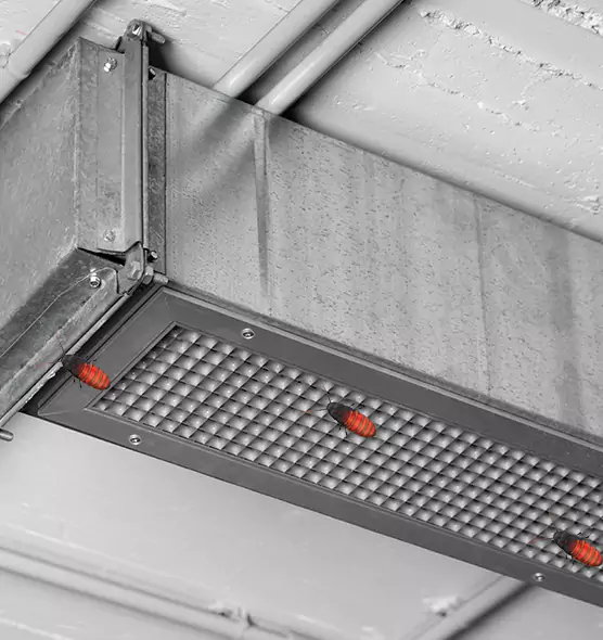 Affordable Insect Removal from Air Ducts in Greensburg, PA